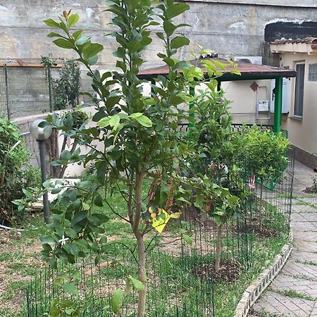 B&B Civitavecchia La Casetta Con Giardino Buitenkant foto