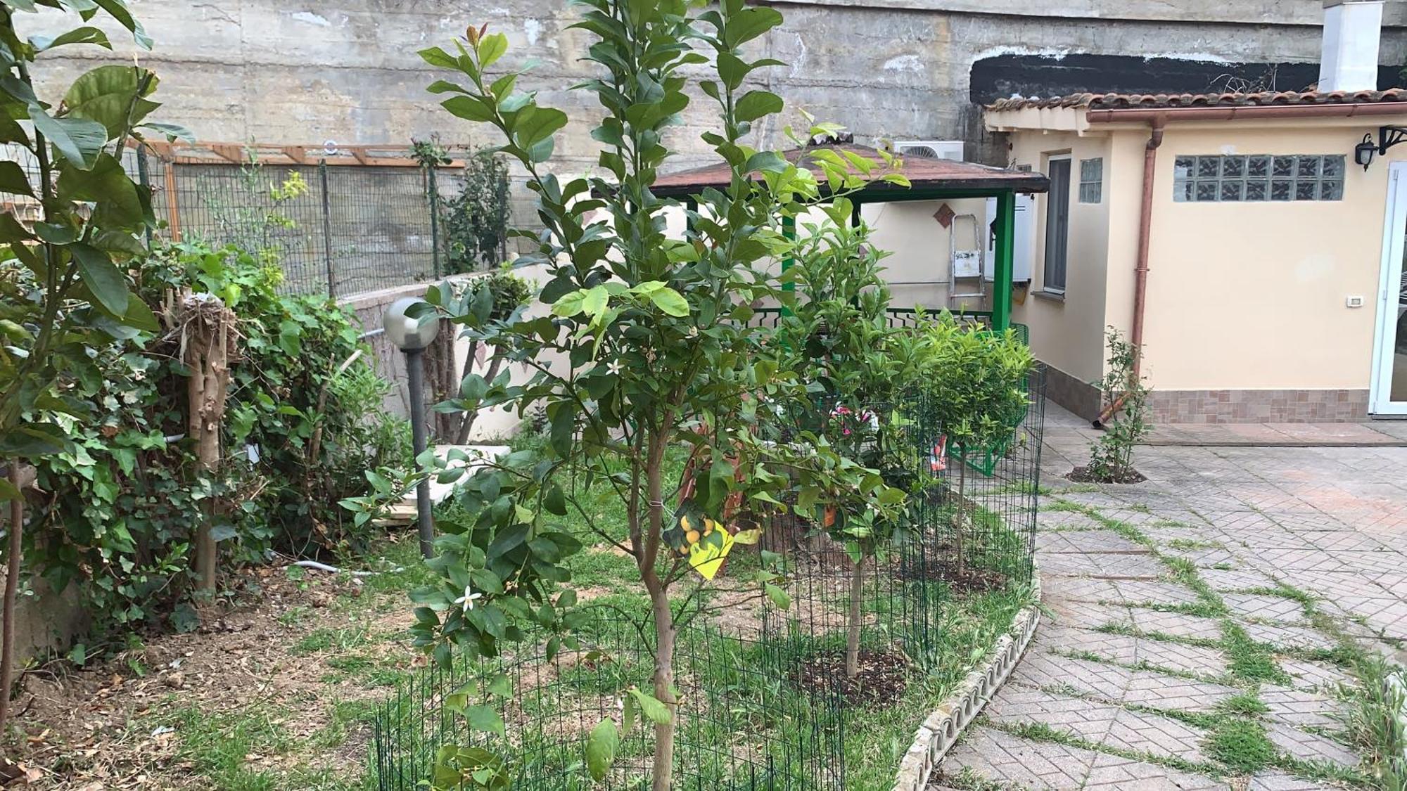 B&B Civitavecchia La Casetta Con Giardino Buitenkant foto