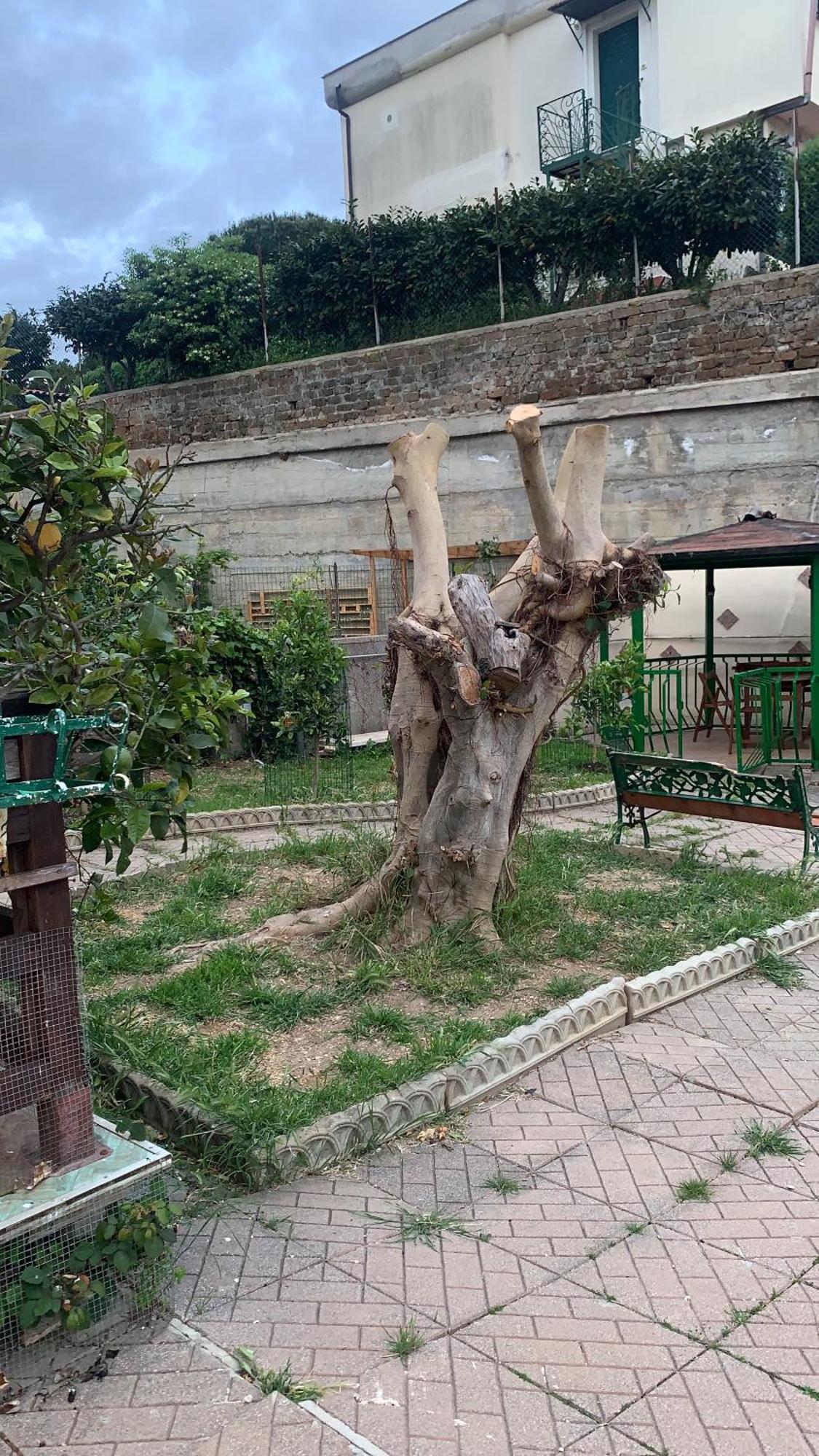 B&B Civitavecchia La Casetta Con Giardino Buitenkant foto